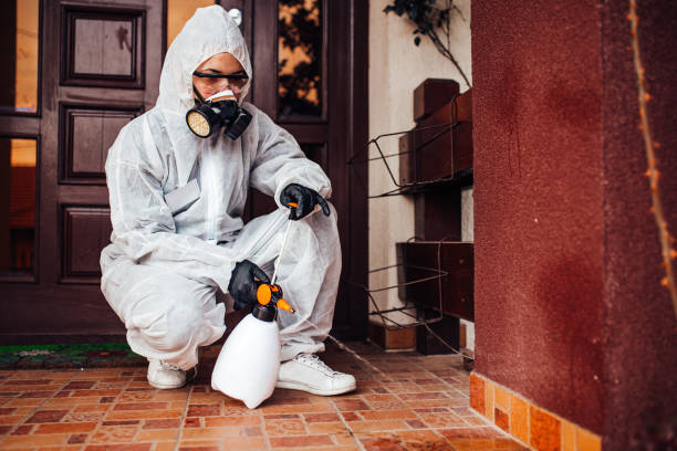 Reliable Cockroach Control contractor in Sunnyside, CA by Nex Pest Control